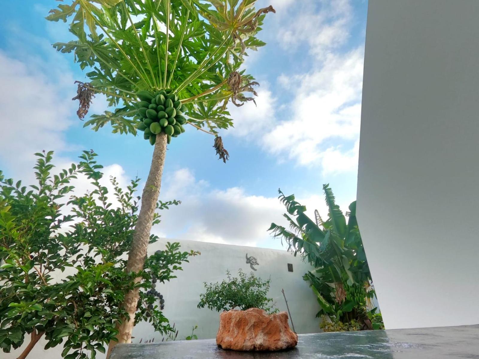 Jardin Del Mar Appartement Tinajo Buitenkant foto